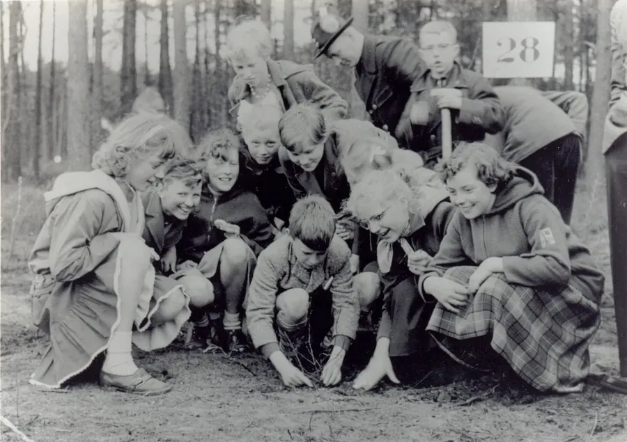 Zwart-witfoto uit 1957: een groep schoolkinderen hurkt rond een pas geplant boompje in het bos.