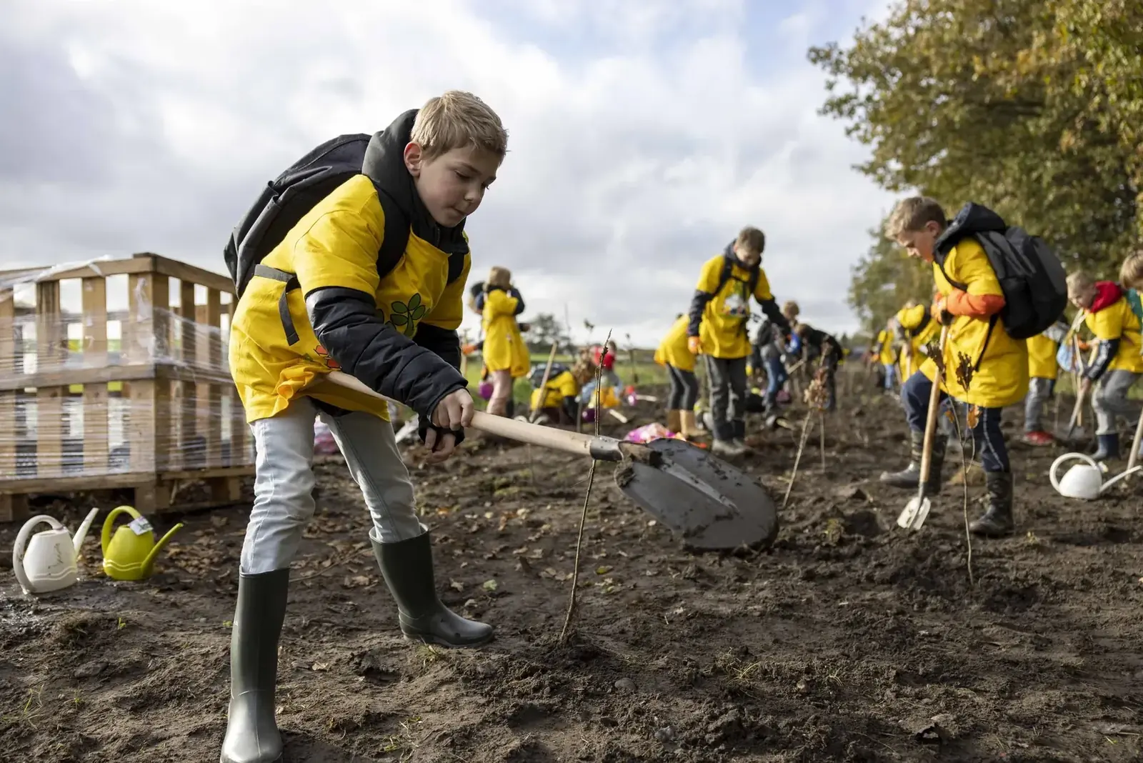 Een groep schoolkinderen plant samen jonge bomen in een veld.