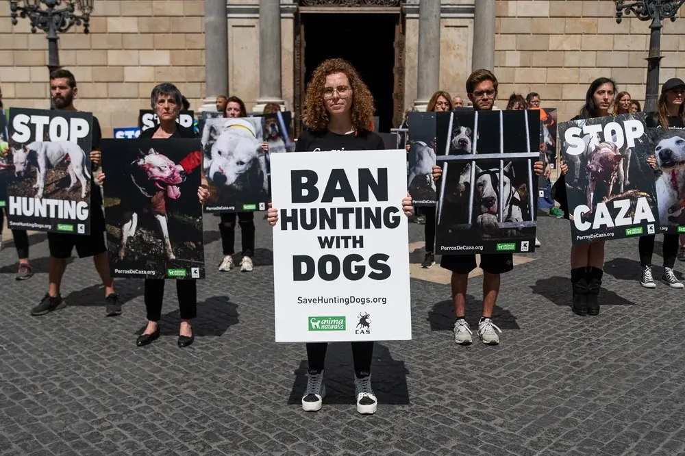 Demonstranten protesteren tegen de jacht met honden.